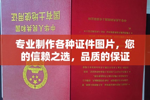 金寨专业制作各种证件图片，您的信赖之选，品质的保证