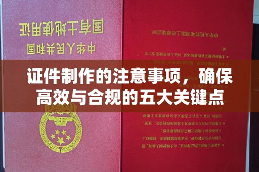 金寨证件制作的注意事项，确保高效与合规的五大关键点