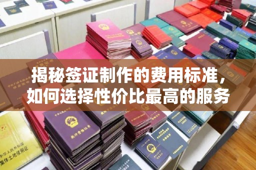 金寨揭秘签证制作的费用标准，如何选择性价比最高的服务？