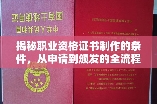 金寨揭秘职业资格证书制作的条件，从申请到颁发的全流程解析