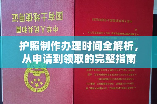 金寨护照制作办理时间全解析，从申请到领取的完整指南